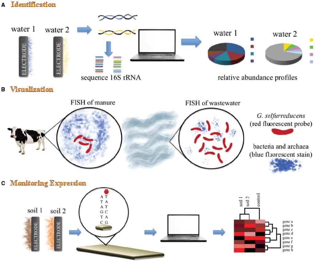 electrobiology Nomad Gardens