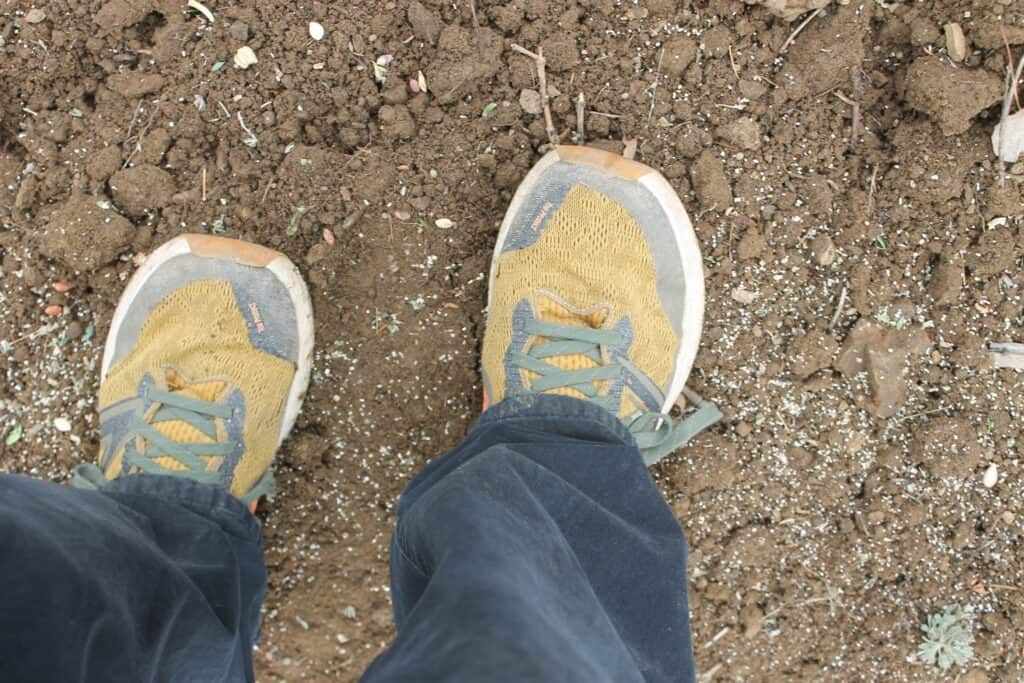 Stepping in the seed