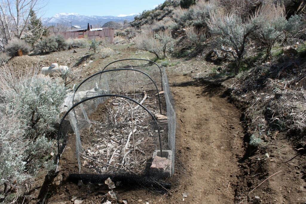 Stick mulch gets removed post germination into seedling stages.