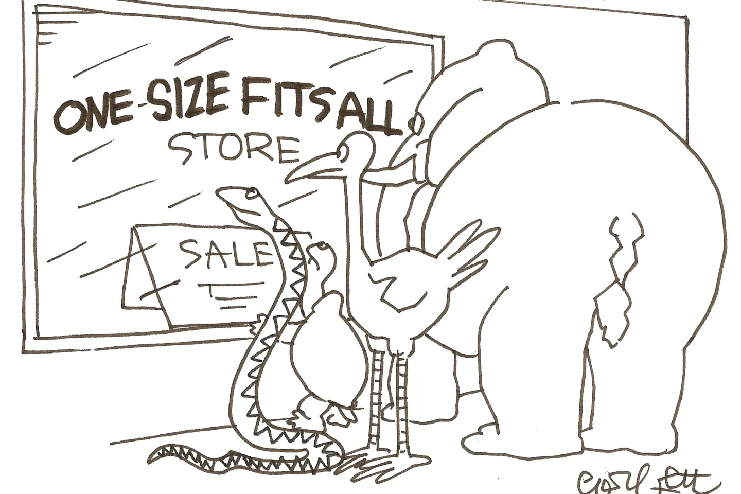 The One Size Fits All, Mr. Fix It Paradigm